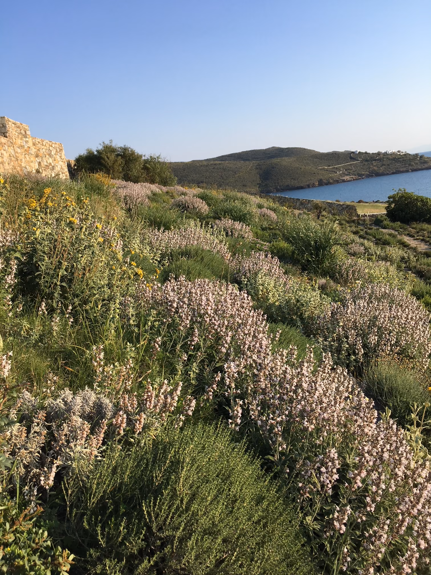 Κήπος Green to Green