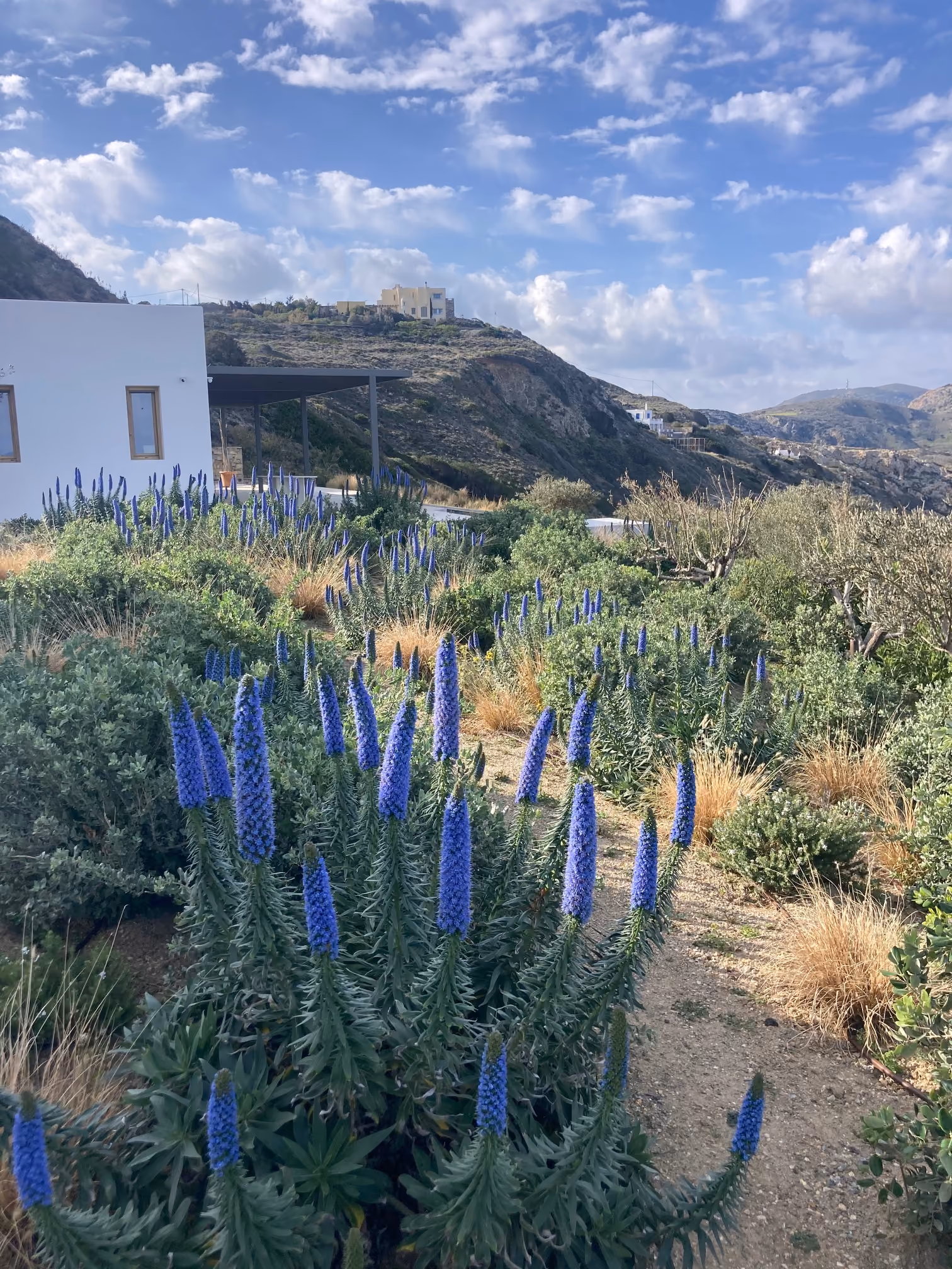 Κήπος Green to Green