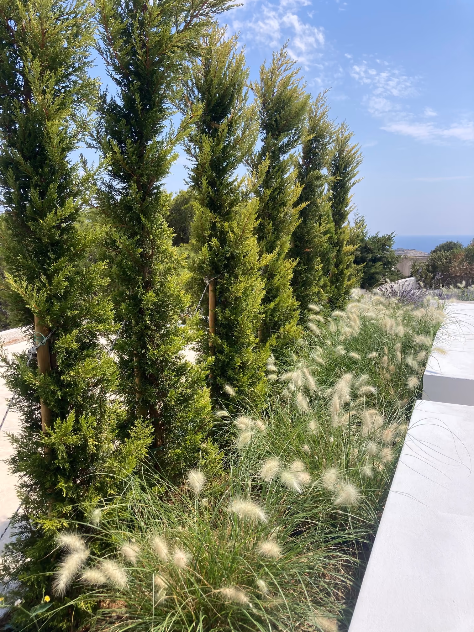 Κήπος Green to Green