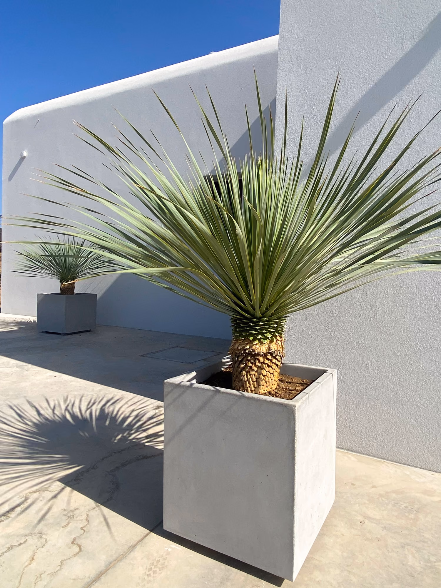 Deco