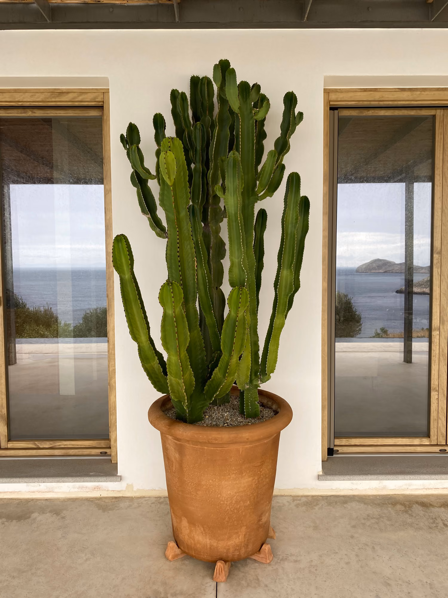 Deco