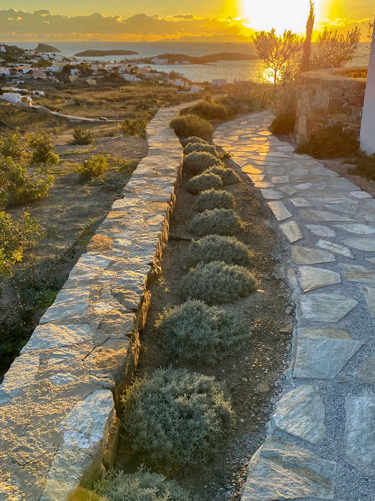 Κήπος