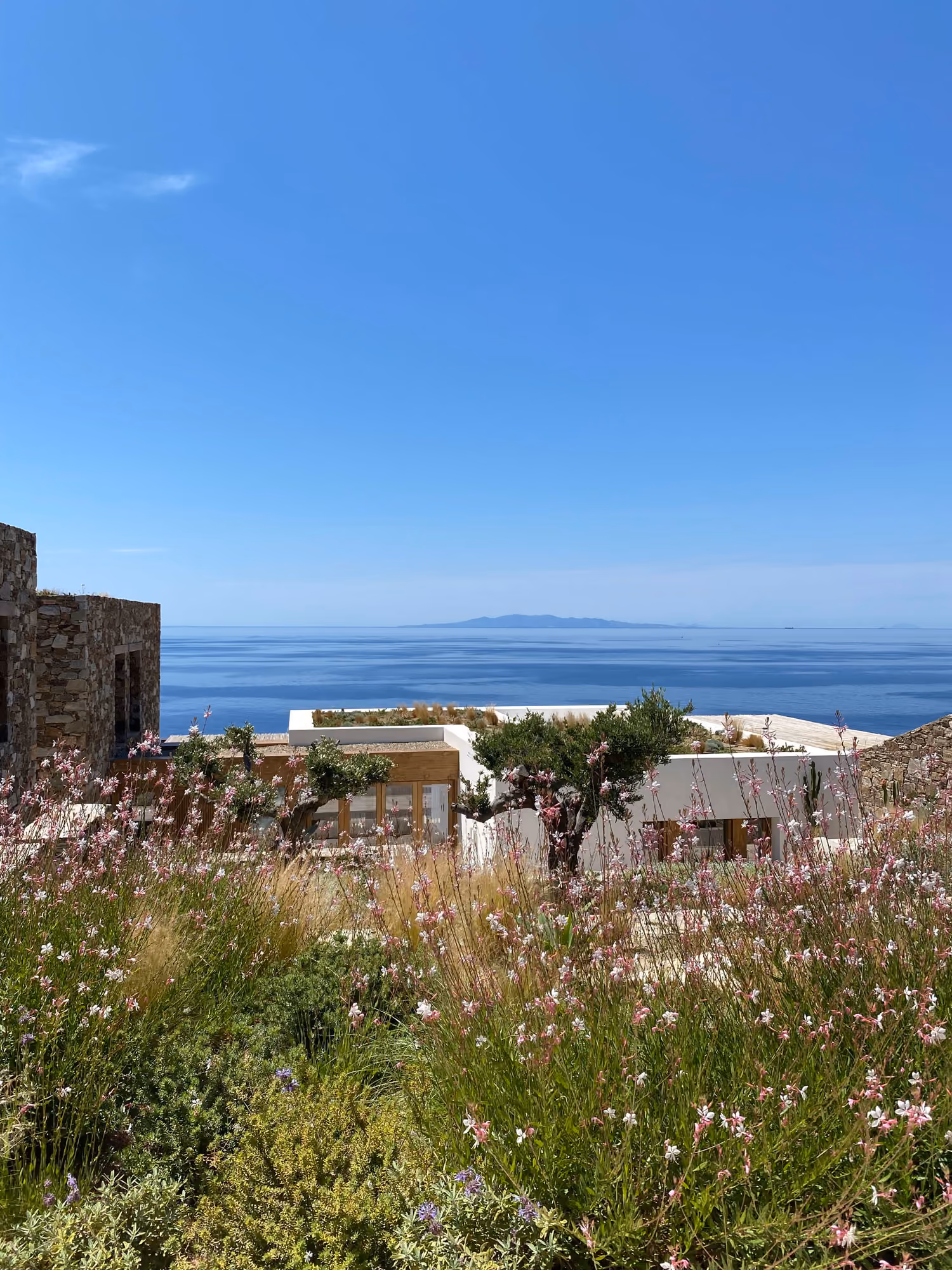 Κήπος