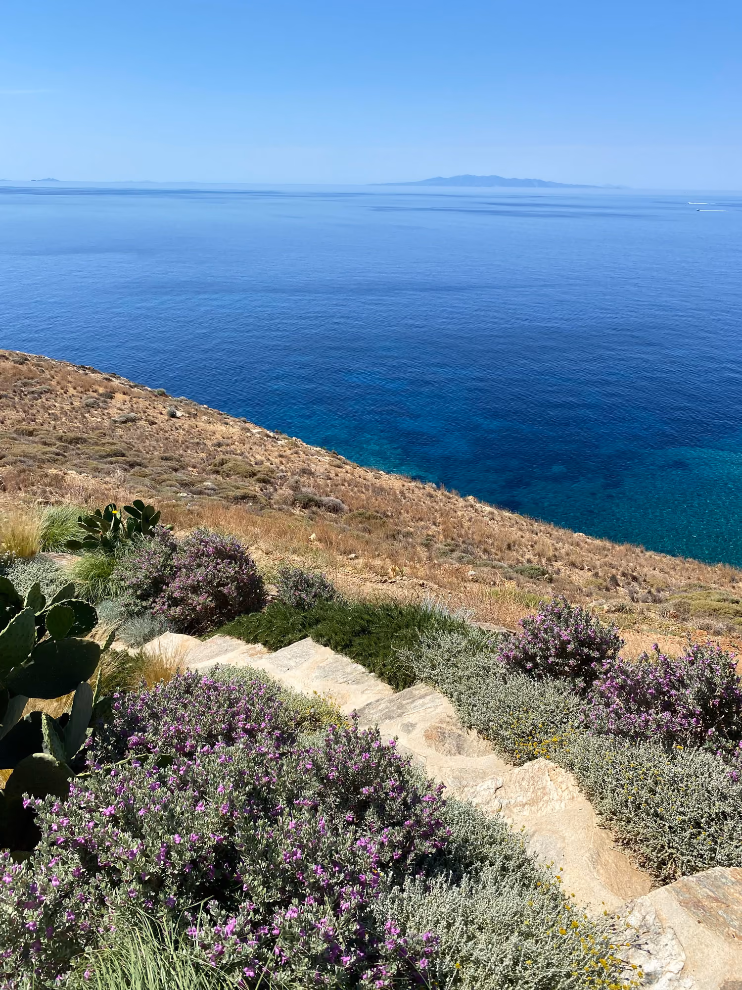 Κήπος