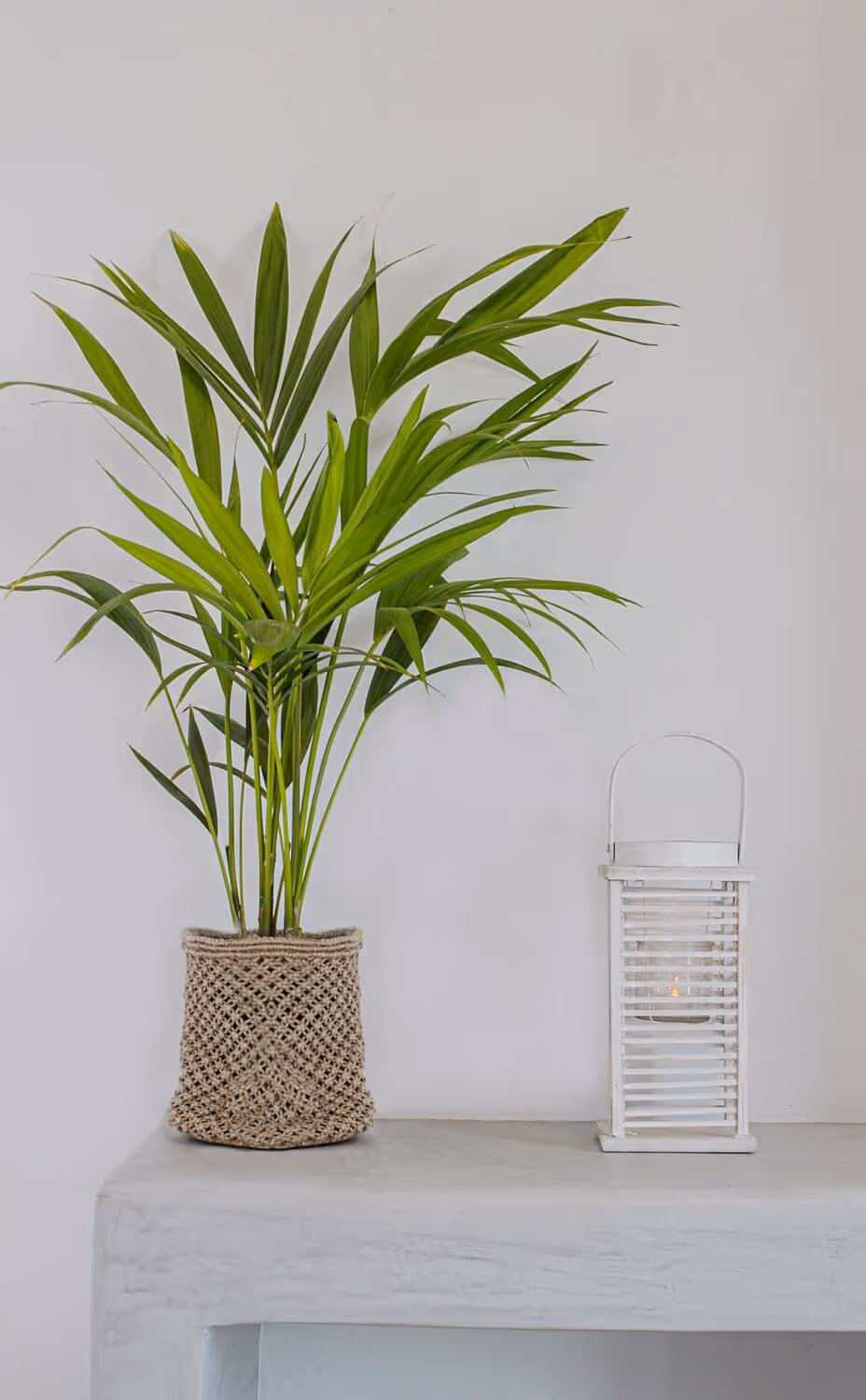 Deco